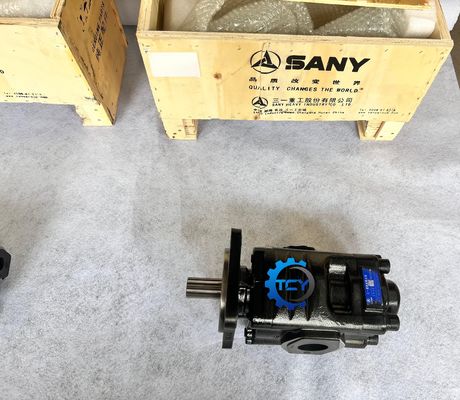 150107010038B Hydraulic Pump Assy 150107010039B Gear Pump for SW955 Sany Wheel Loader